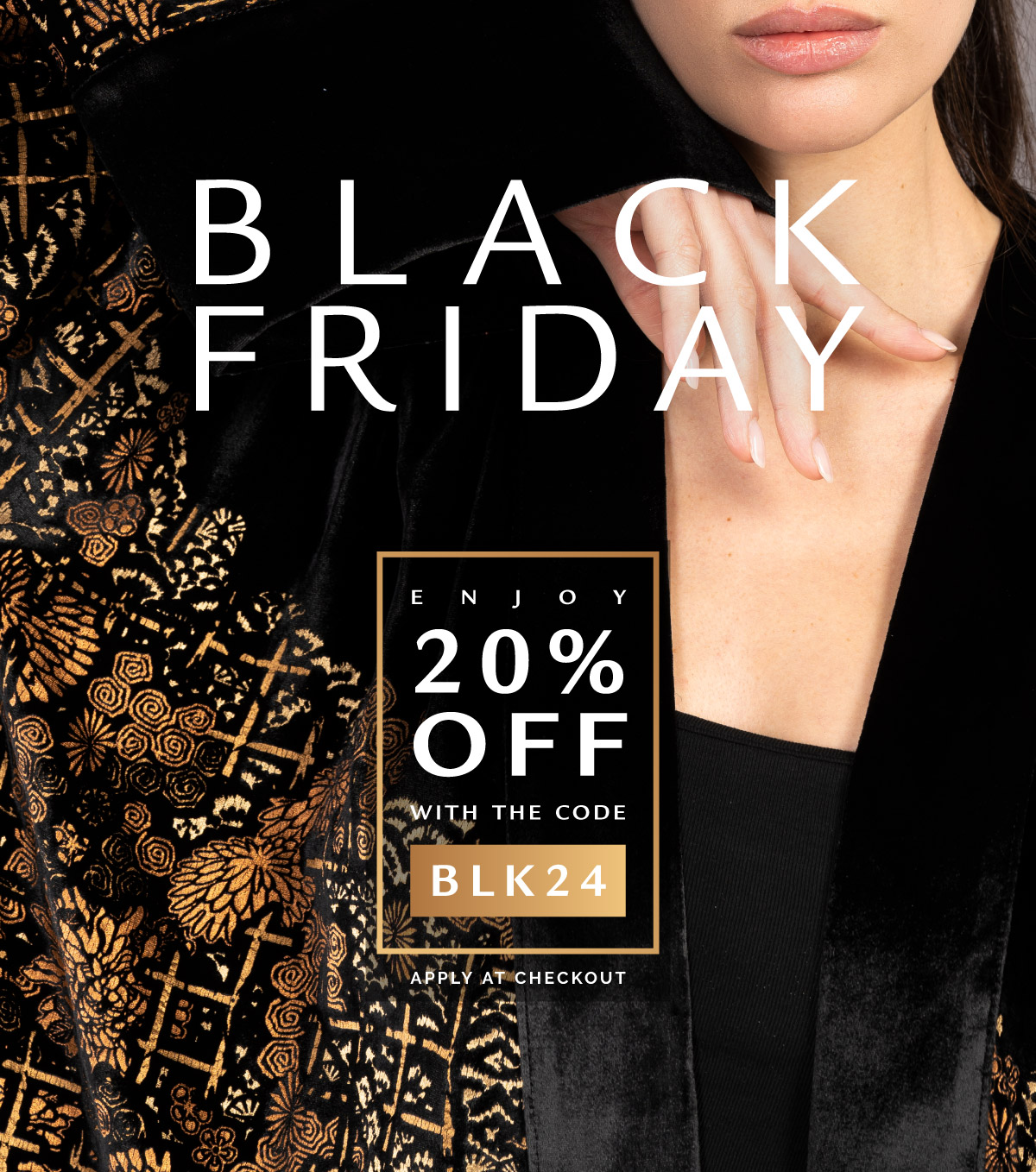 Black Friday 2024 popup